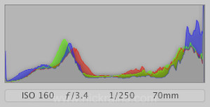 Typical clipped histogram from raw file - overexposed