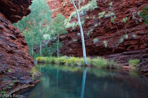 AG_Pilbara_20130728_2731