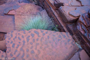 AG_Pilbara_20130729_3023